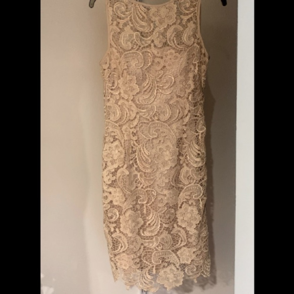 Adrianna papell formal dress